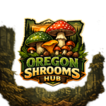 chatgpt image jan 19, 2026, 10 08 48 pm