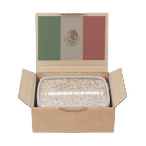 Mondo® Grow Kit Mexican